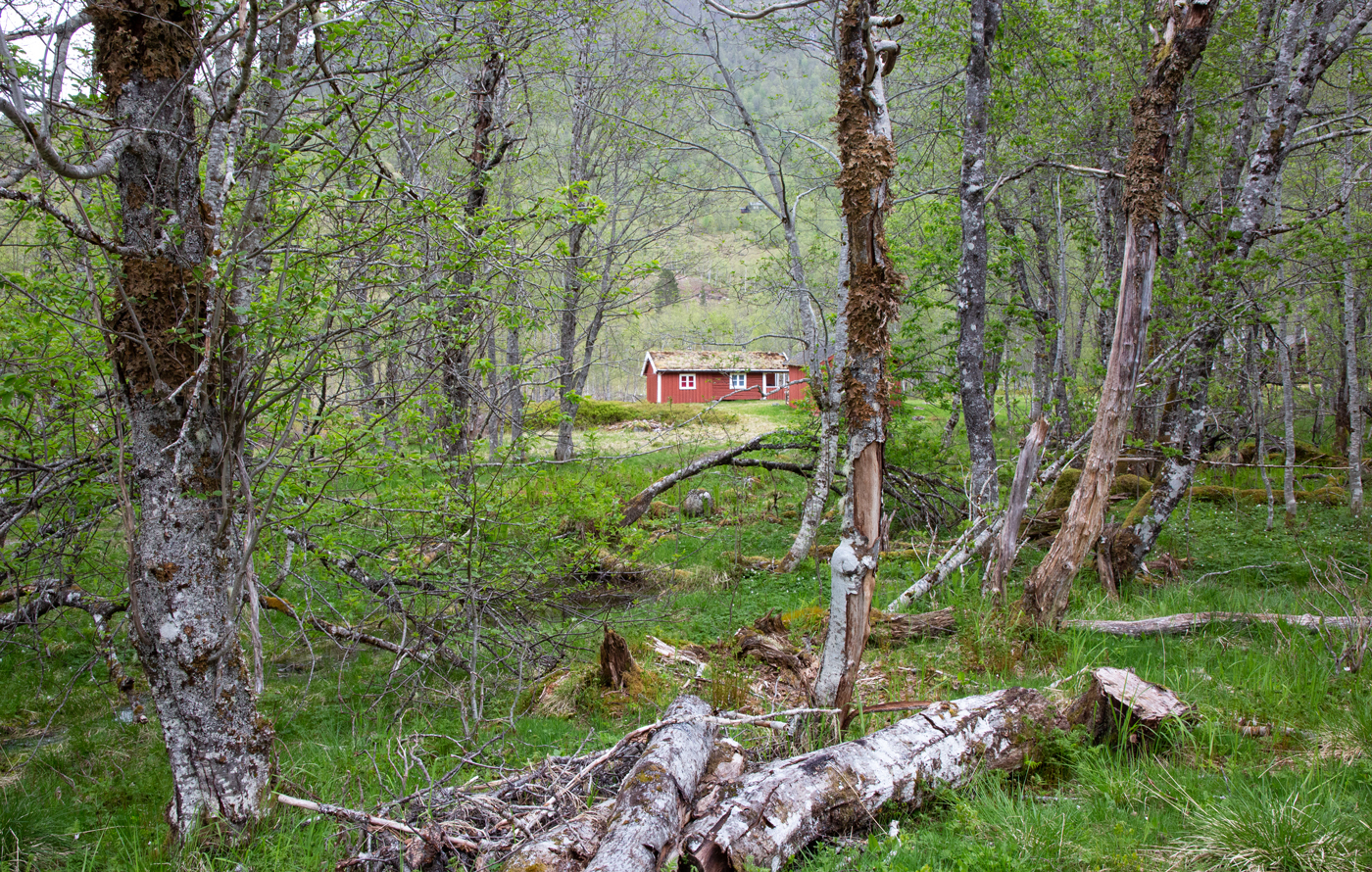 KvenncRødthus1.jpg