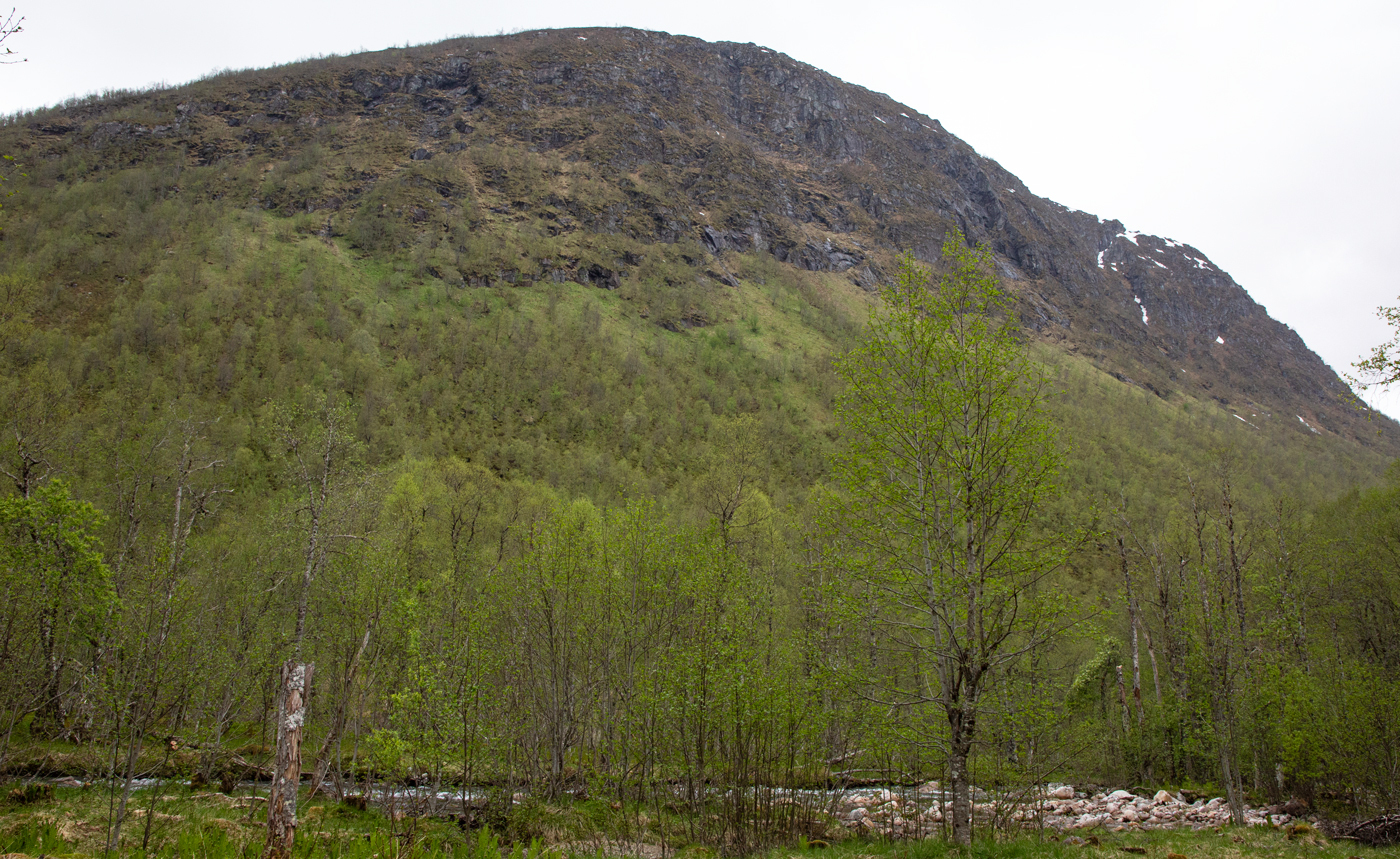 KvenneStorfjell.jpg