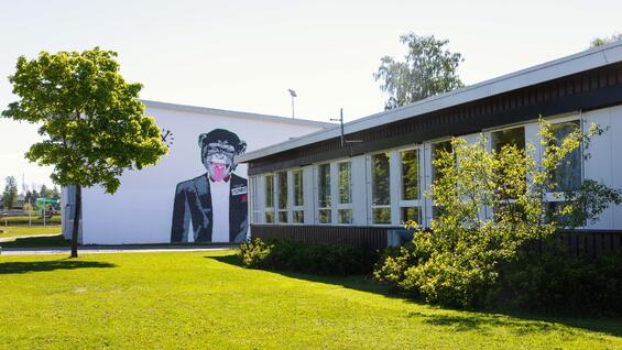 Nes ungdomsskole fotografert fra utsiden