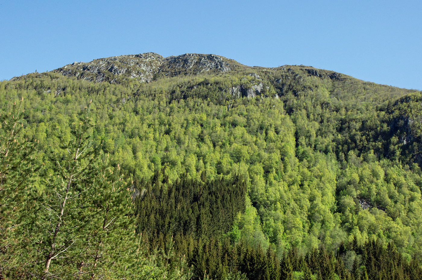 KvennlSkarfj.jpg