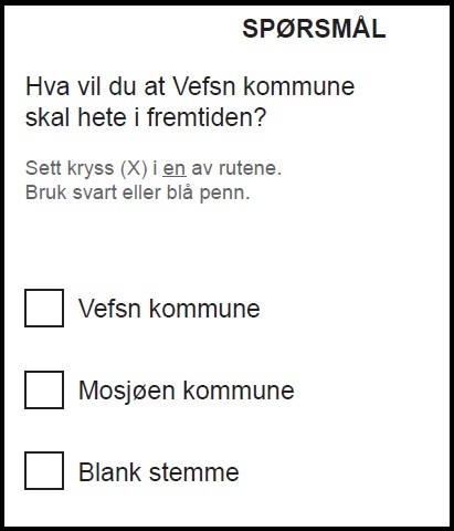 Bilde av stemmeseddel