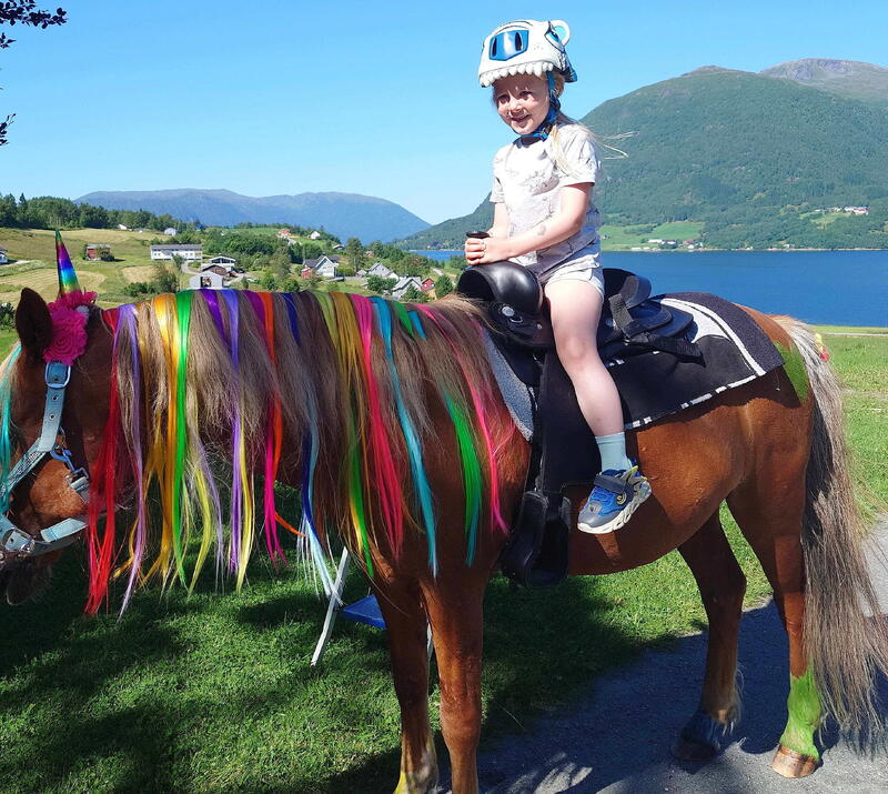 Bøfj Laurdag B Riding