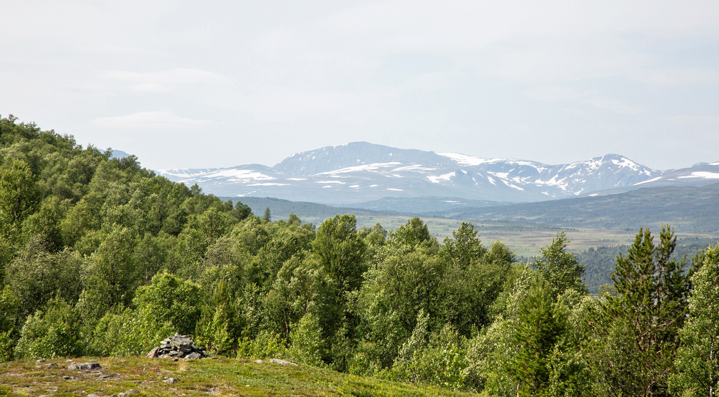 yStengBlåhøa.jpg