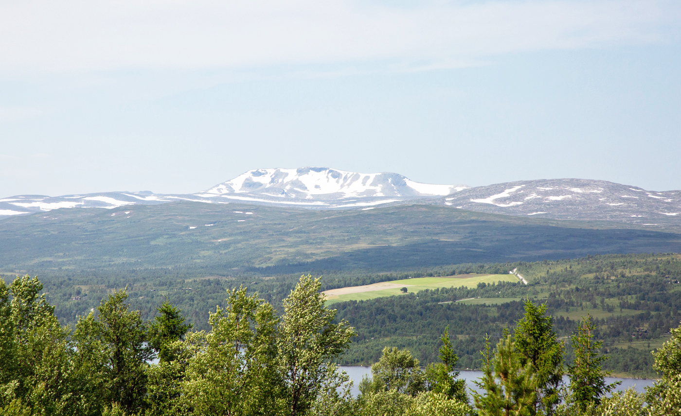 yStenhSvarth.jpg