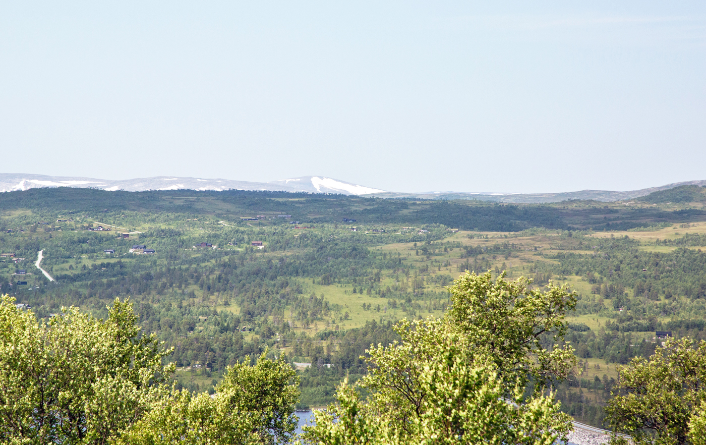 yStenjRindh.jpg