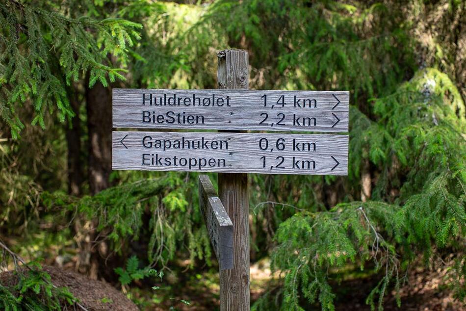 Bilde som viser turskilt i skogen