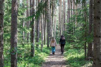 Ta damer som går langs en skogssti
