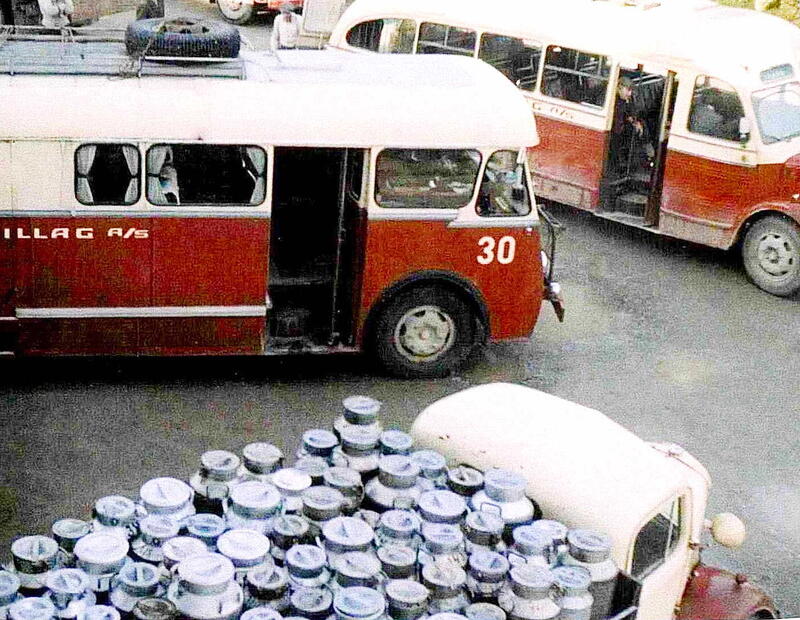 Tema BUSS D Mjølk