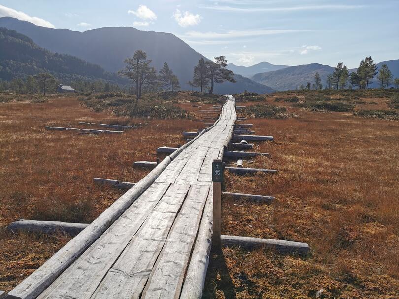 Kavlvegen - foto: Norunn Holten