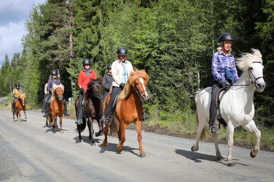 Foto av ryttere som rir på en grusvei