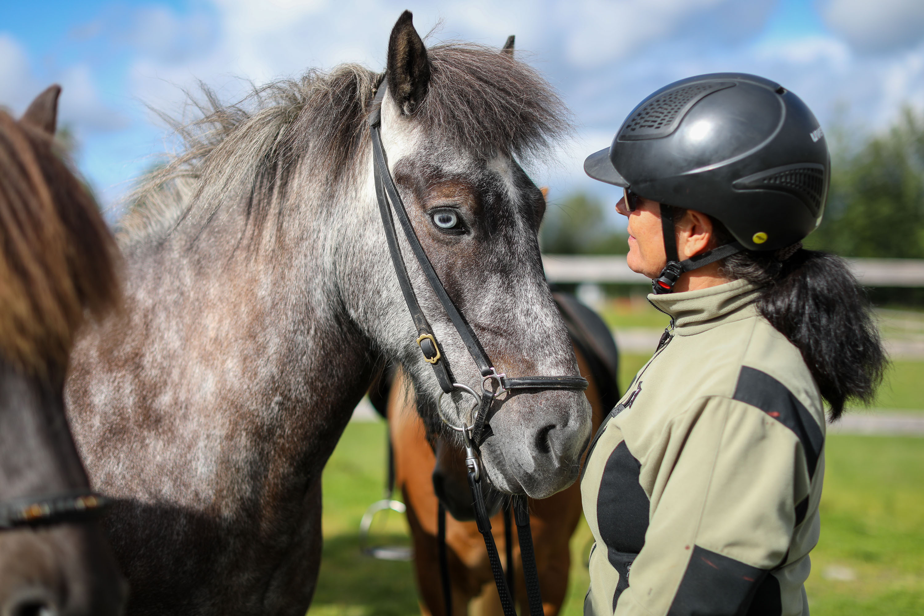 Foto av Mona med hest