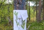 GetAttachmentThumbnail[4]