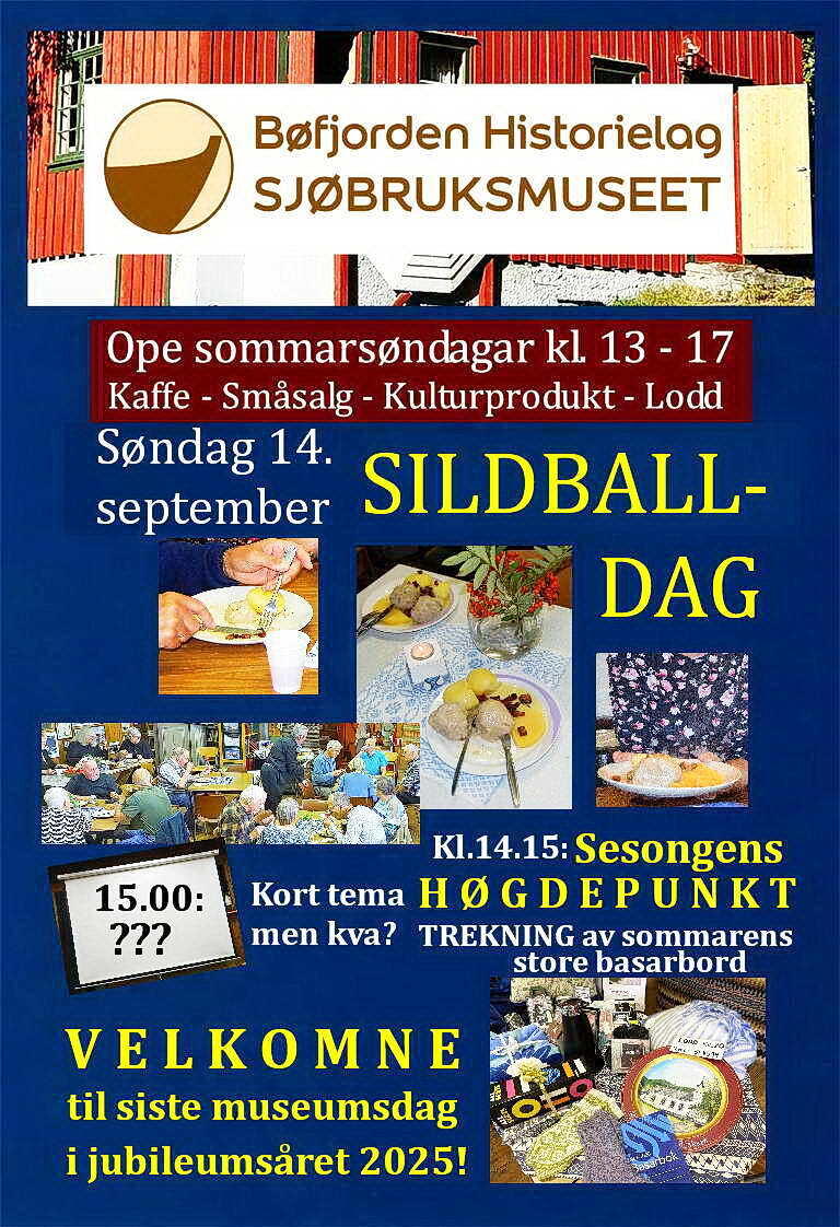 Plakat Balldag 2025