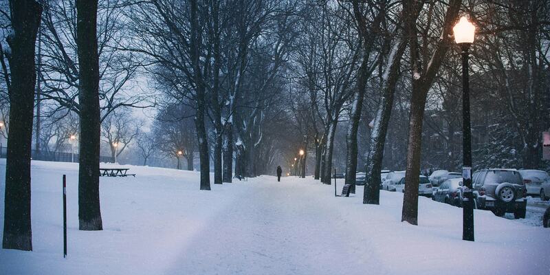 Snow City Image