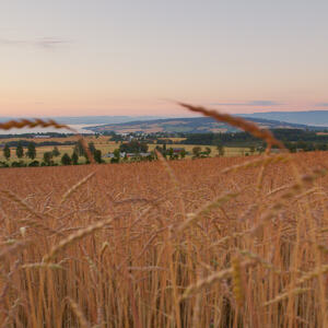 Foto av jordbrukslandskap
