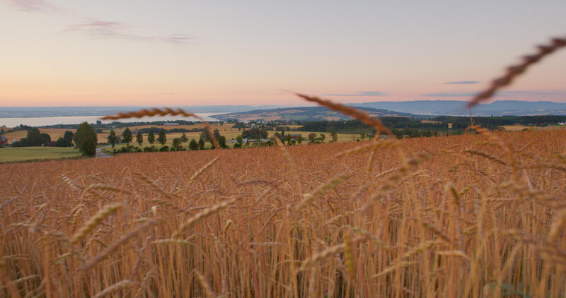 Foto av jordbrukslandskap