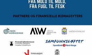Molo til molo 2025 Partnere 