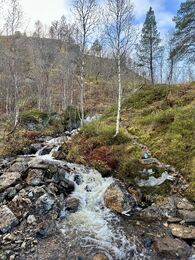 IMG_5272