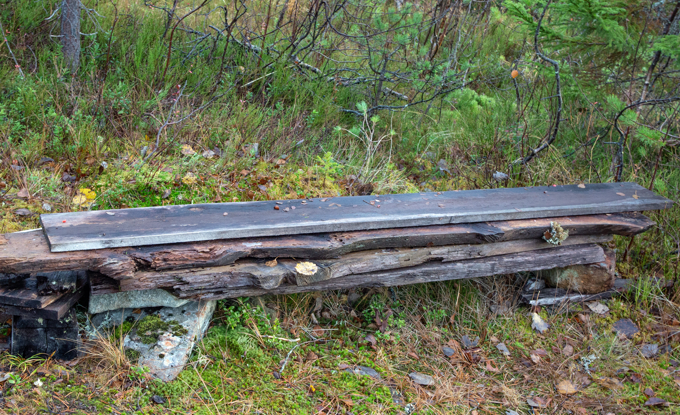 SkoggBenk.jpg