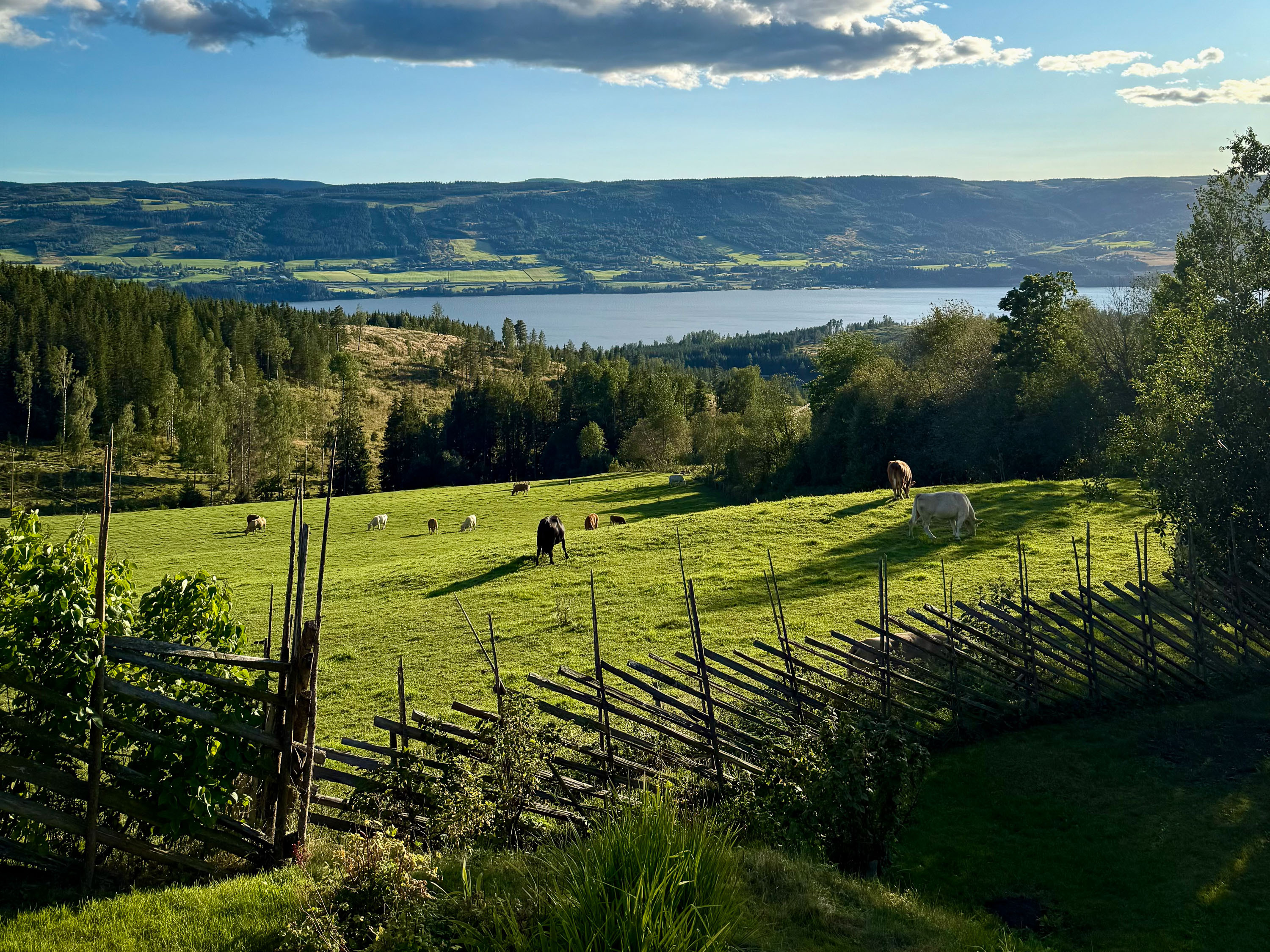 Foto av landskap på Brøttum