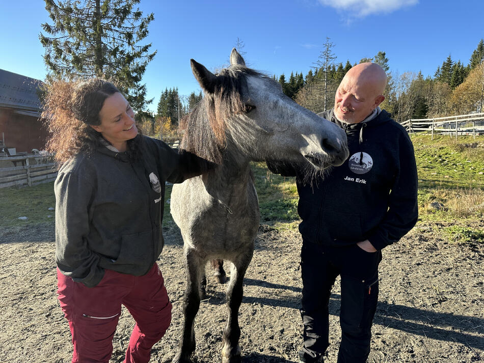 Mann og dame som koser med en hest