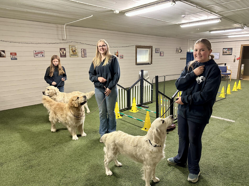 Tre golden retrievere med tre jenter