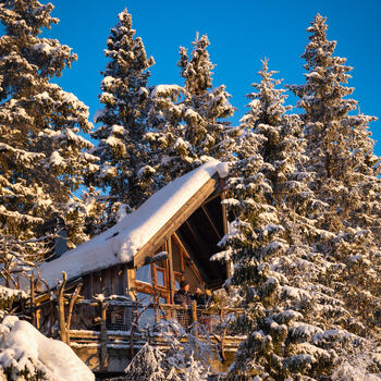 Foto av Eystein Hagen og Mone Rustøy i tretopphytta Gran
