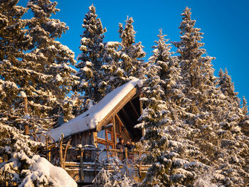 Foto av Eystein Hagen og Mone Rustøy i tretopphytta Gran
