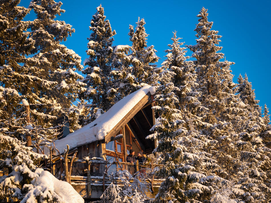 Eystein Hagen og Mone Rustøy i tretopphytta Gran Foto av Eystein Hagen og Mone Rustøy i tretopphytta Gran