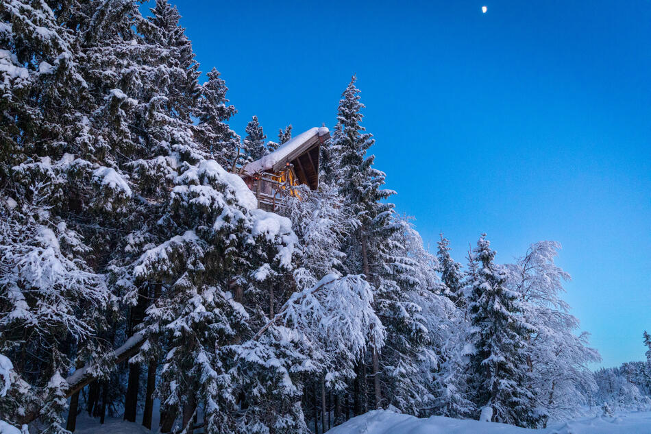 Tretopphytta Gran i blåtimen Gran i blåtimen