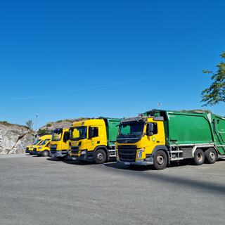 Sommerlig bilde av bilene