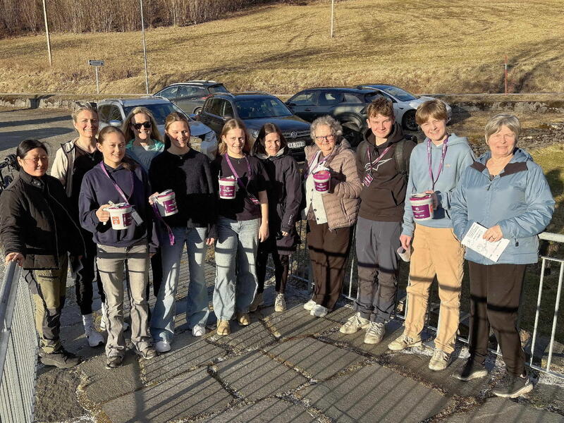 Innsats A gav resultat (1)[1]