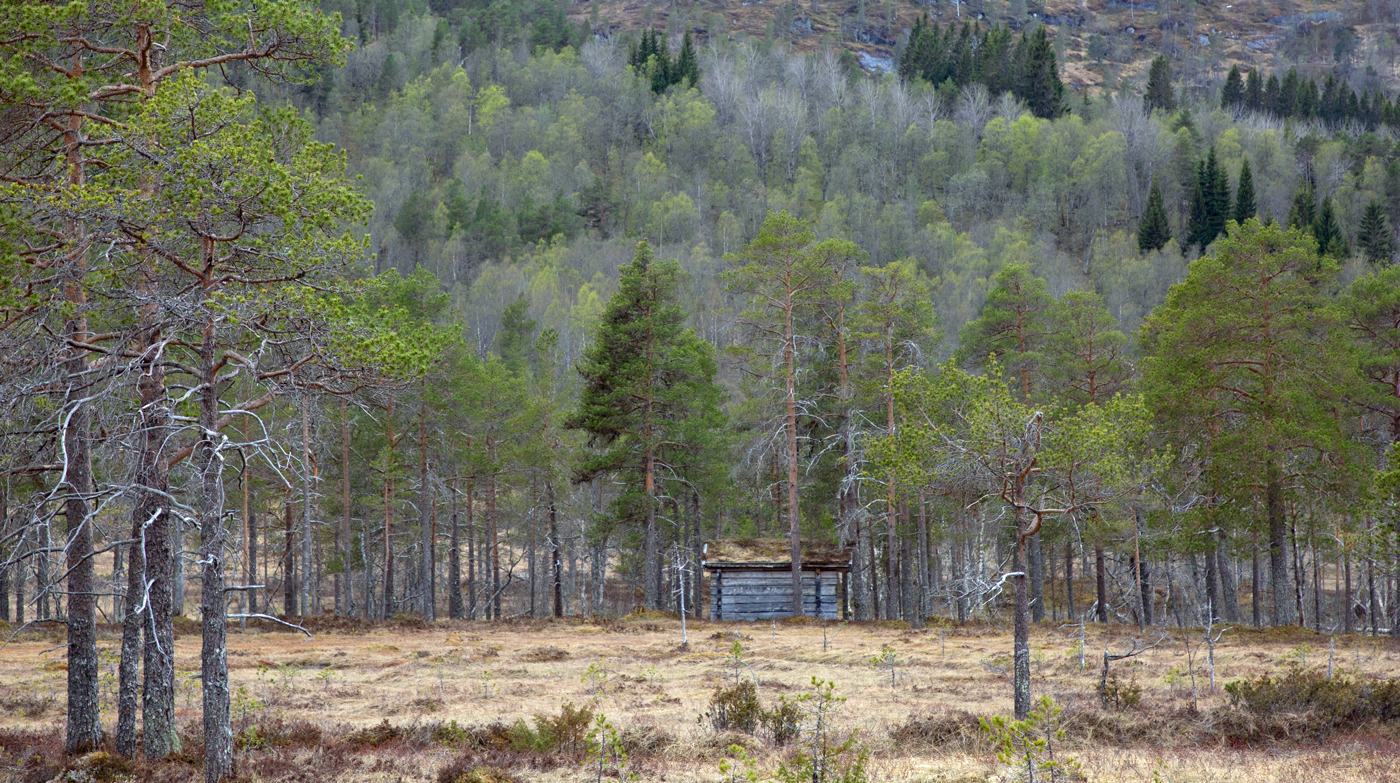 Garbergen3Gapahuk.jpg