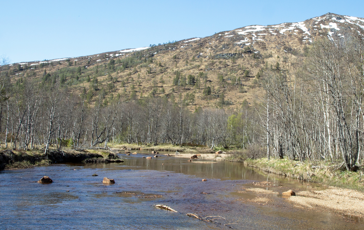 Wa9Fjell.jpg
