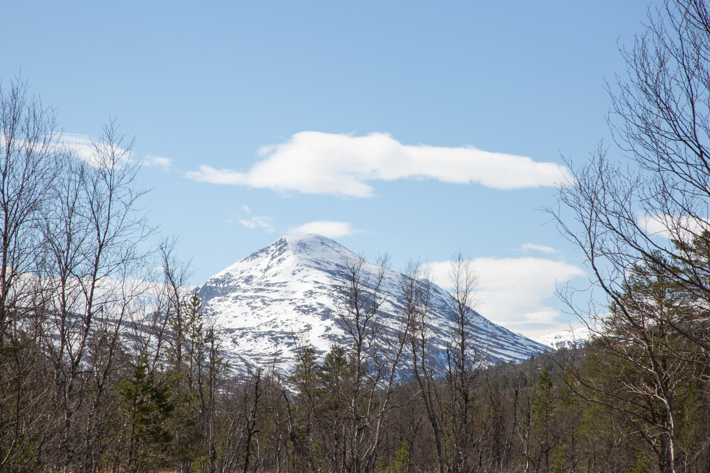 W10Fjelltopp.jpg