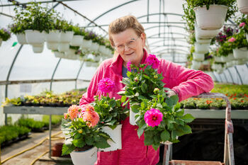 Dame som holder fargerike blomster