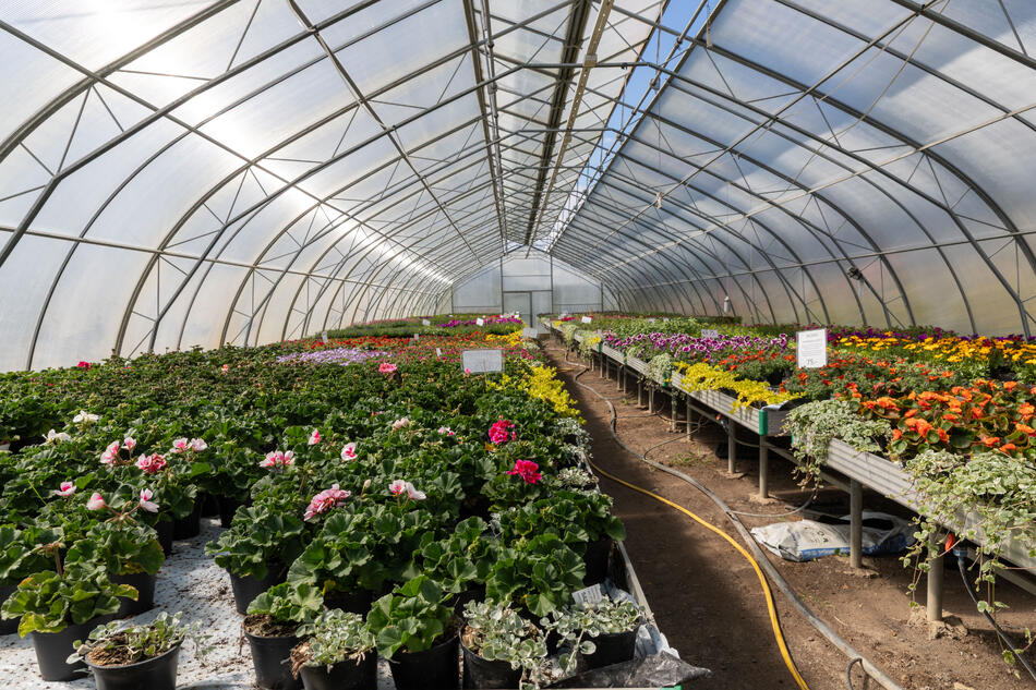 Veksthus med blomster