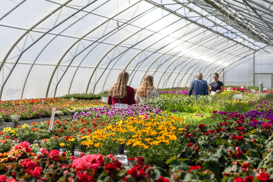 Veksthus med blomster