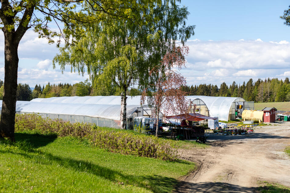 Gartneri utendørs