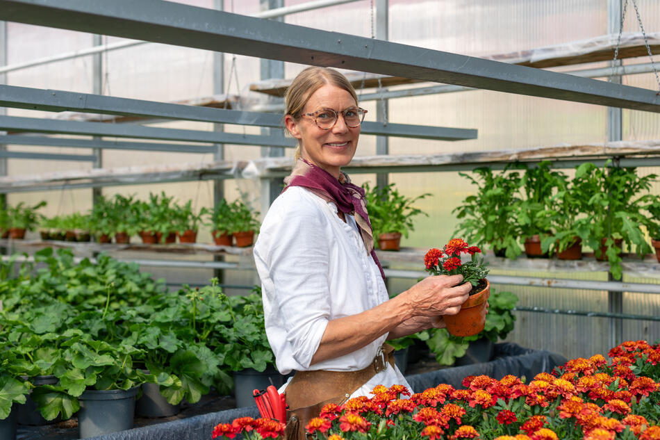 Benedicte holder opp en rødlig tagetes