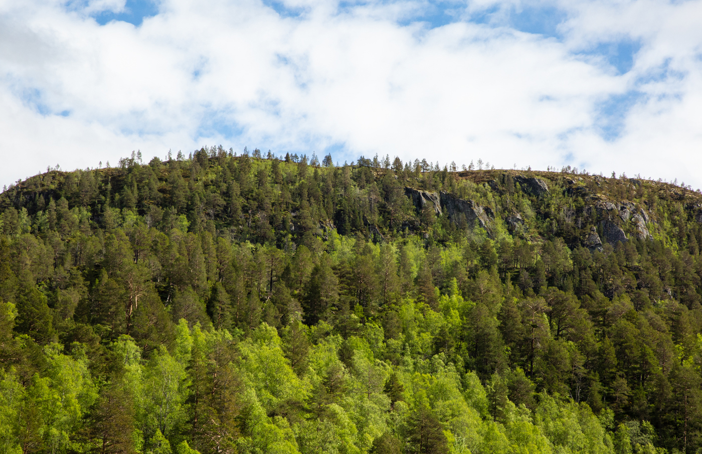 Skytebane4Garberg.jpg