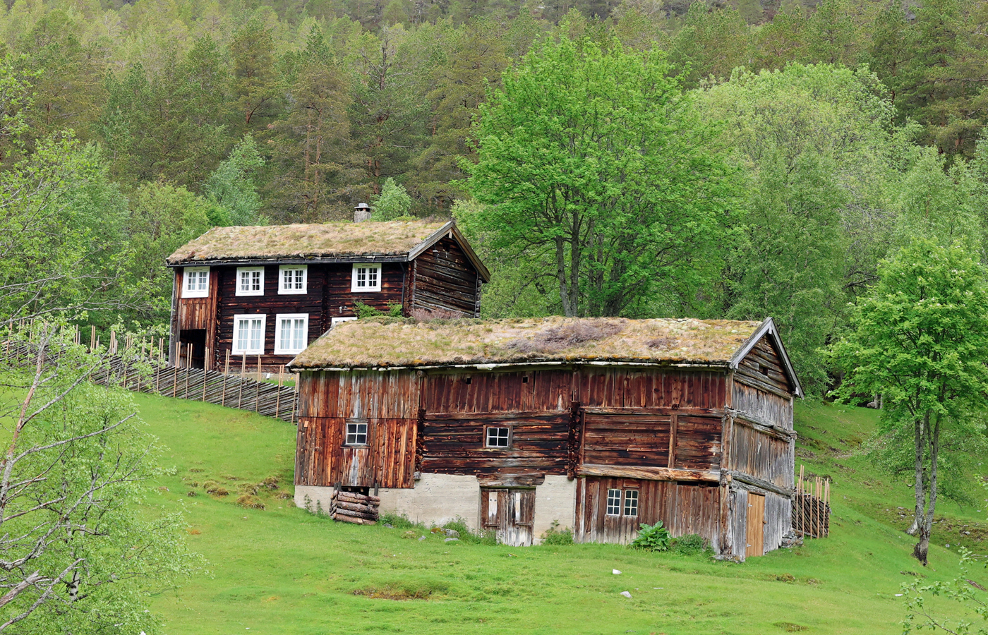 Kår6Dalahaugen.jpg