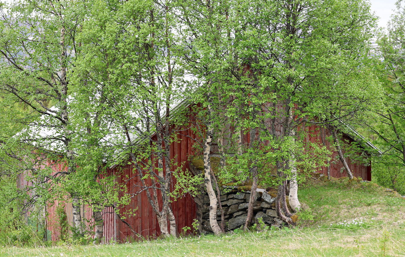 Fossdalen7Løa.jpg