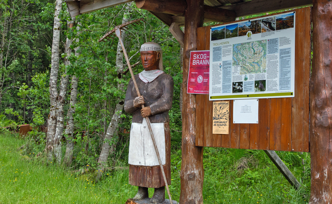 Søy1Kjerring.jpg