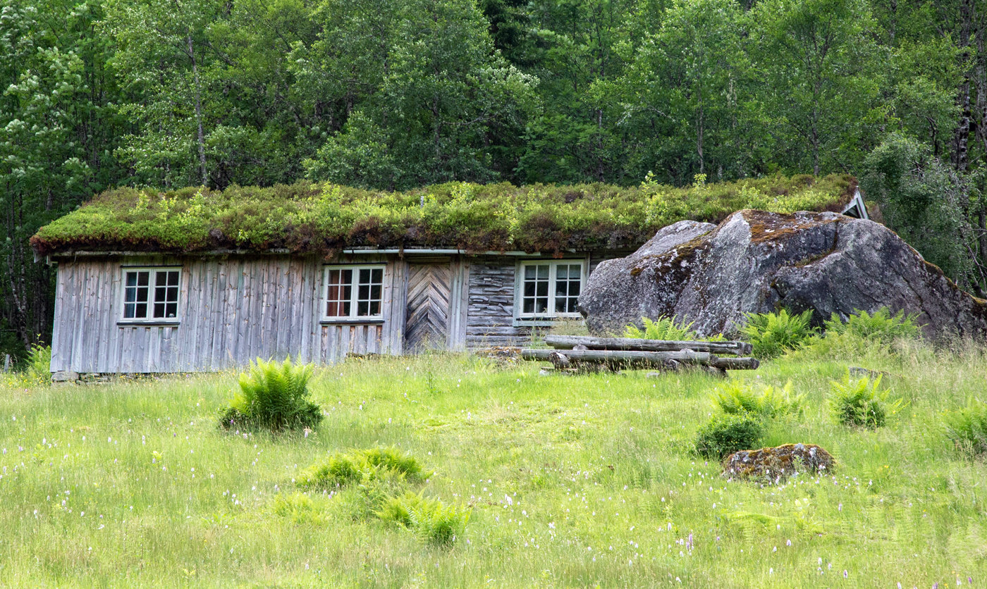Søy4Setra.jpg