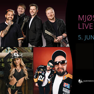 Mjøsparken Live 2027 artister