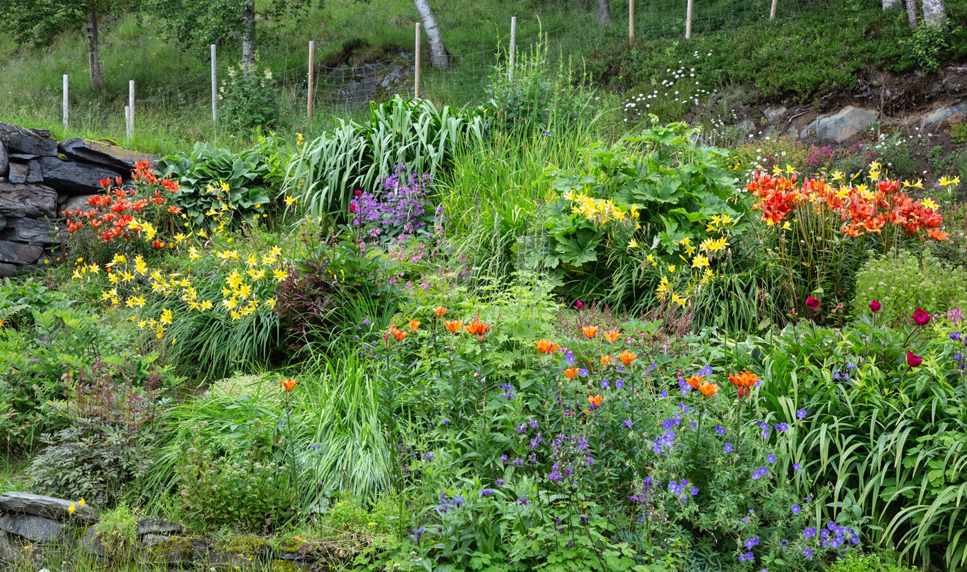 Blomsterprakt5.jpg