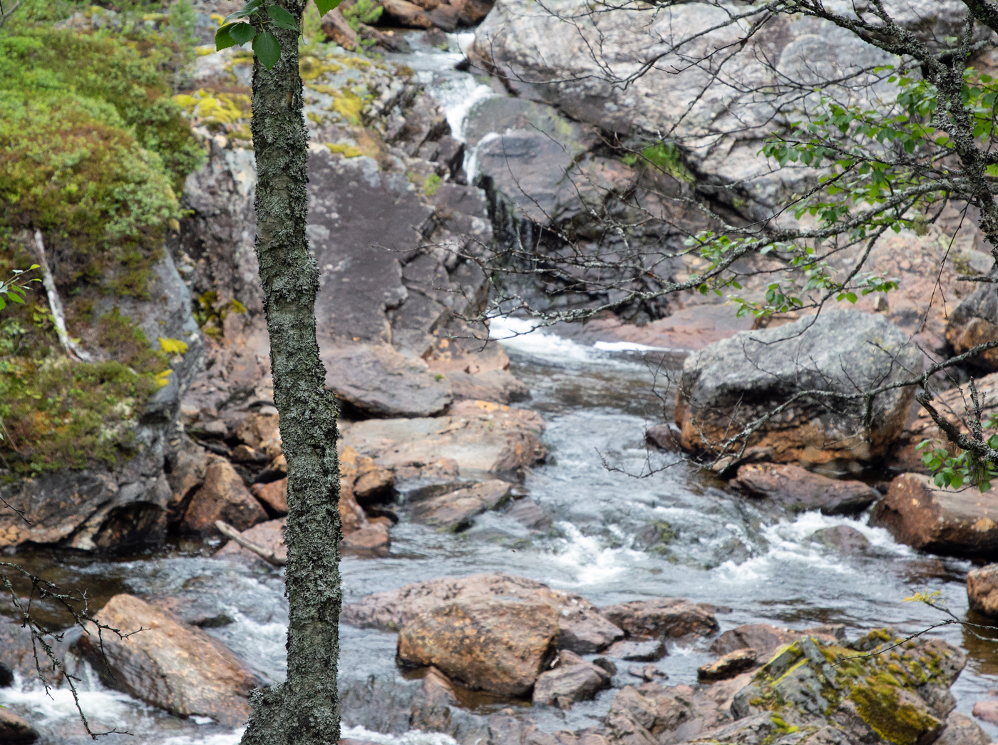 abTrøa11Foss.jpg