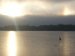 Sun dogs,sundogs,light,sun,sandvika, norway,oslo,kalvøya,sol