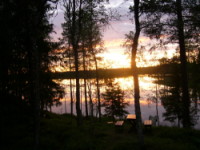 Finland,Soumi, forest,wilderness,Oulu,Rovaniemi
